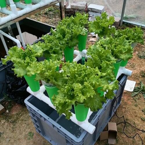 GY Fish Symbiotic Siphon Equipment Balcony Change Water Ecological Filtration System Vegetables Flowers Tide Shelf for Plant
