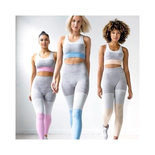 Seamless 2 PCS Women Three Color Yoga Suit Professional Running Fitness Bra Set Sport Bra + Yoga Legging Pant Suit