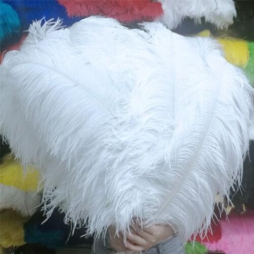 Wholesale 50/100pcs Elegant White Ostrich Feathers for Crafts 55-75cm Wedding Party Supplies Carnival Dancer Decoration plumas
