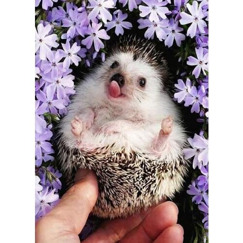 5D Diamond Painting Lovely Animal Hedgehog Diamond Embroidery Purple Flower Full Drill Cross Stitch Mosaic Kids Room Decor
