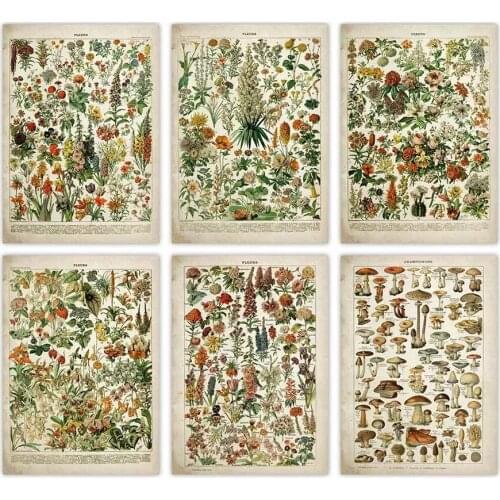 Vintage Flower Poster Antique Floral Print Art Botanical Educational Poster Mushroom Wall Art Home Decor Kraft paper