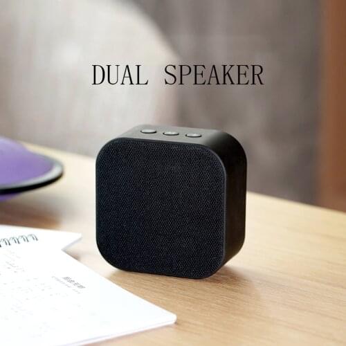 DUAL SPEAKER