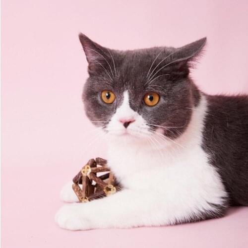 Handmade Cat Toys Ball Matatabi Sticks Catnip Ball Matatabi Silvervine Kitten Supplies Pet Supplies Organic Natural Rabbit Toy