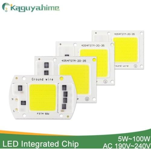 Kaguyahime LED COB Chip 10Pcs 20W 30W 50W Replacement Integrated Chip Grow Full Spectrum For Spotlight Floodlight Lamp Outdoor