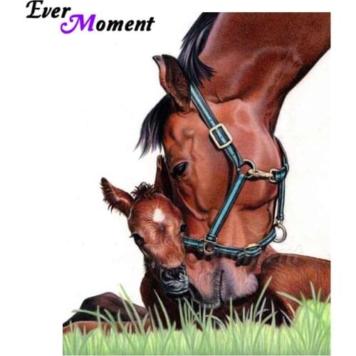 Ever Moment Diamond Painting Horse Animal Full Square Drill Picture Of Rhinestone 5D DIY Diamond Embroidery Home Decor ASF1407