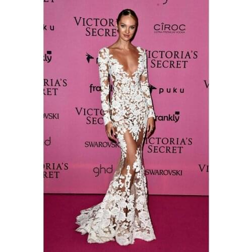 Zuhair Murad Sheer Lace Evening Dresses Long Sleeves V Neck Appliques Long CANDICE SWANEPOEL Wears Illusion Prom Celebrity Party