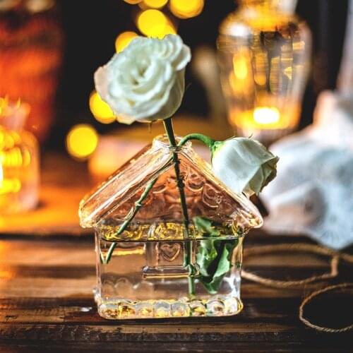 Hand-Made Transparent Glass Vase Desktop Decoration Hydroponic Unique Flower Container Fresh and Simple House