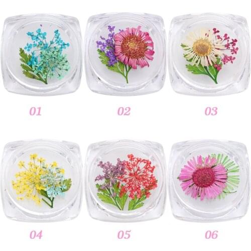 Random 4 Box Real Nail Dried Flowers Leaf Nail Art Decor DIY Tips Small Dyeing Flowers Nail Stickers For Manicure Tools