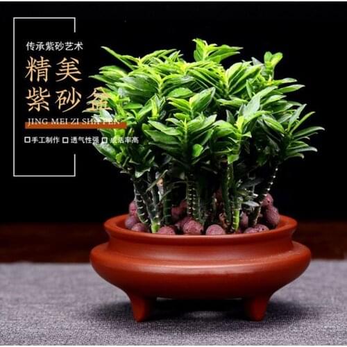Yixing Purple Sand Small Flowerpot Exquisite Small Succulent Plant Calamus Desktop Bonsai Pot Creative Ceramics