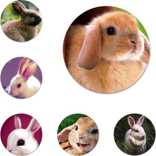 Cute White Baby Rabbits Badge Brooch Pin Accessories For Clothes Backpack Decoration gift