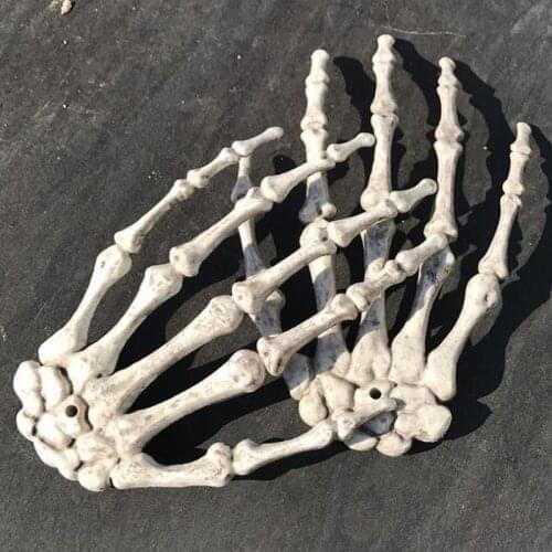 Human Anatomical bone Skeleton Model Medical Medical Learn Aid Anatomy art sketch 1 Pair Skull Skeleton Hand Bone Halloween