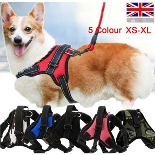 No-pull Dog Harness Outdoor Adventure Pet Vest Padded Handle- Small Extra Large