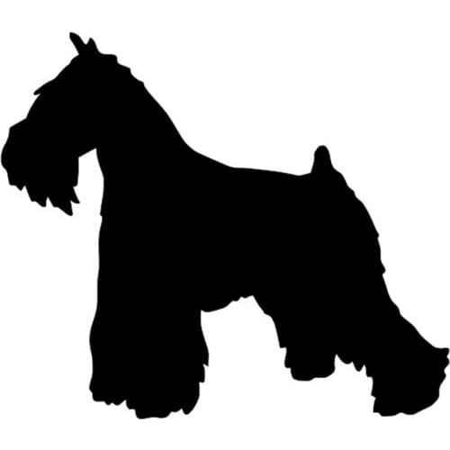 11.2*9.5CM Miniature Schnauzer Animal Personality Car Sticker Stylish Car Covers Scratches Decorative Stickers C6-0027