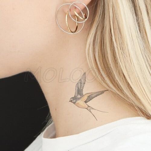 Water Transfer Sexy Tattoo Swallow Bird Tattoo Body Art Waterproof Temporary Fake Flash Tattoo for Man Woman Kid 10.5*6cm