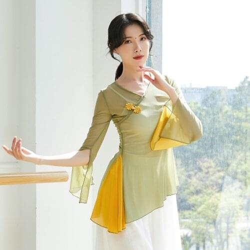 Adult Classical Color Block Belly Dance Transparent Blouse Sheer Mesh Top Long Shirt Fairy Costume for Women Dancer Wear Clothes