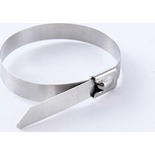 100pcs 4.6mmx300mm 4.6x200mm 4.6x450mm Boat tie Self-Locking Stainless Steel Zip Cable Tie Lock Tie Wrap 304 Stainless Steel