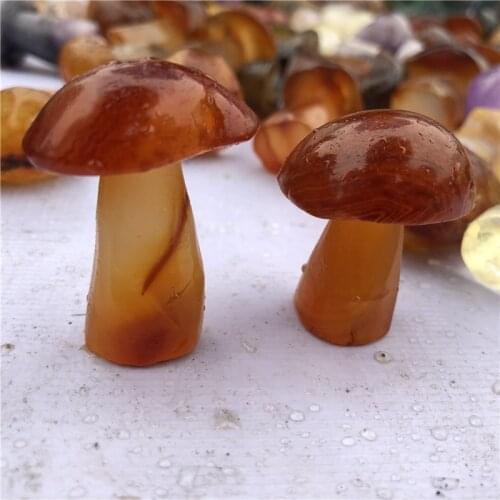 DHX SW natural raw agate stone crystal polished mushrooms red carnelian meditation reiki healing remove negative energy Decor