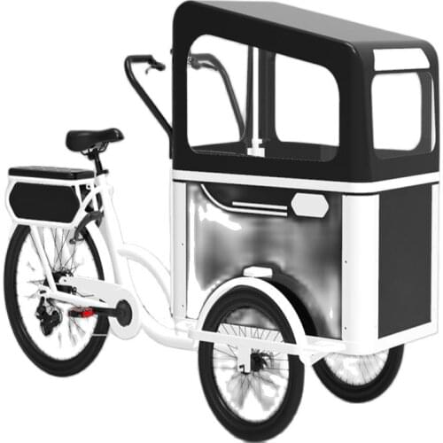 2021 New Designed Electric or Pedal 3 Wheels Cargo Bike for Carrying Kids or Pets for Sale