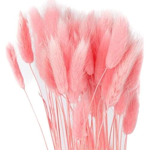 Dried Flower Bouquet Artificial Lagurus Ovatus Decoration for Home Hotel Wedding M56