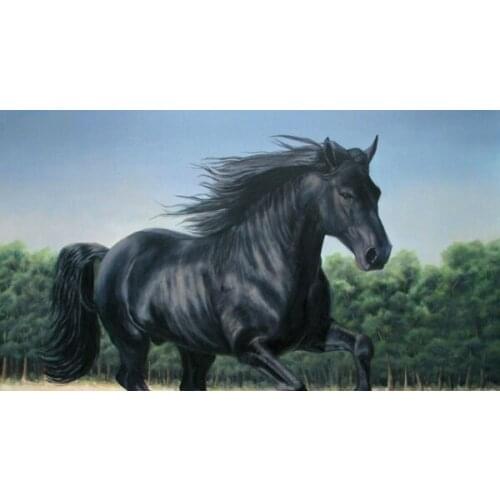 New Vintage Retro Metal Tin Sign Wild Animals Horse Home Kitchen Bar Bedroom Living Room Wall Decor Plaque Signs 12X8Inch