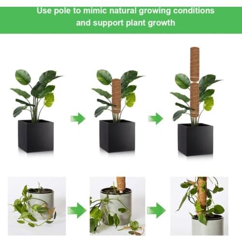 1PCS 30 CM Flower Rack Coconut Palm Sticks Garden Plants Climbing Flower Vine Support Coir With Coconut Sticks Support Gardening
