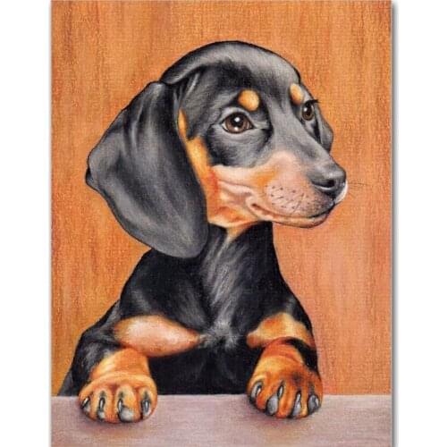 5d diy Diamond Painting Professor Dachshund Diamond Embroidery color cute pets dog full drill square/ round Rhinestones