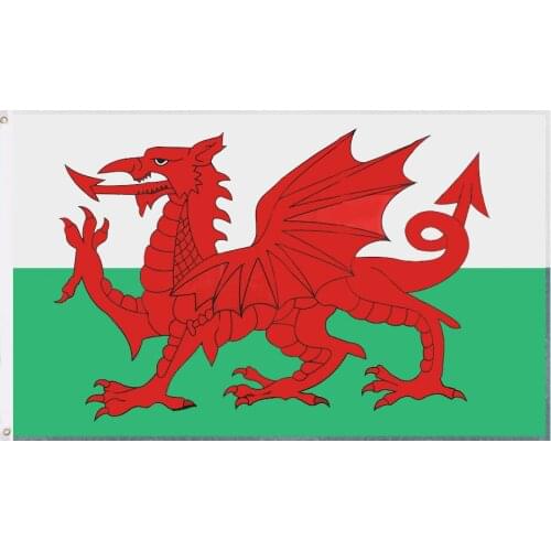 JiaHao 100% Polyester High Quality Wholesale Stock 3x5ft Wales Flag