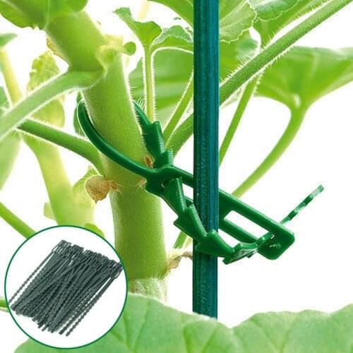 30/50pcs Green Gardening Vine Climbing Plants Cable Tie Lines Plant Brackets Parts Bonsai Flower Cucumber Grape Rattan Supports