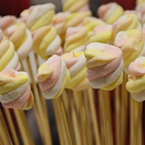 Sturdy Bamboo Skewer Sticks BBQ Fruit Shish Kebab Natural Wood 25cm Sticks Barbecue Stick can CSV