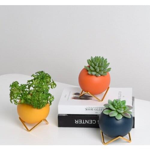 Creative Ceramic Vase Morandi Modern Simple Fleshy Flowerpot Flower Arrangement Green Planter Iron Frame Hydroponic Ball