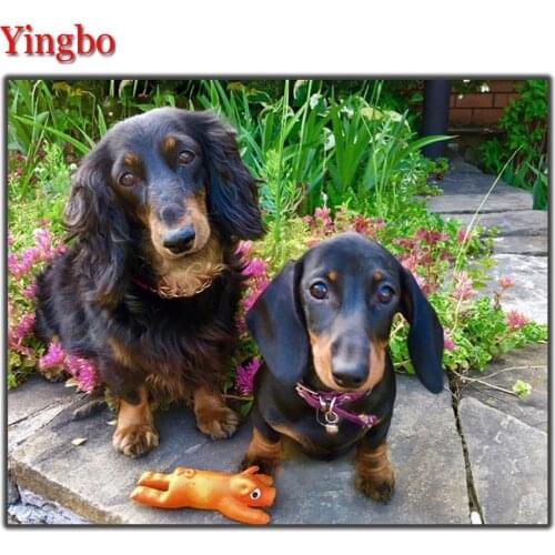DIY Diamond Painting Professor Dachshund dog 5D Cross-stitch diamond mosaic cute pet patterns bead Embroidery Rhinestones decor