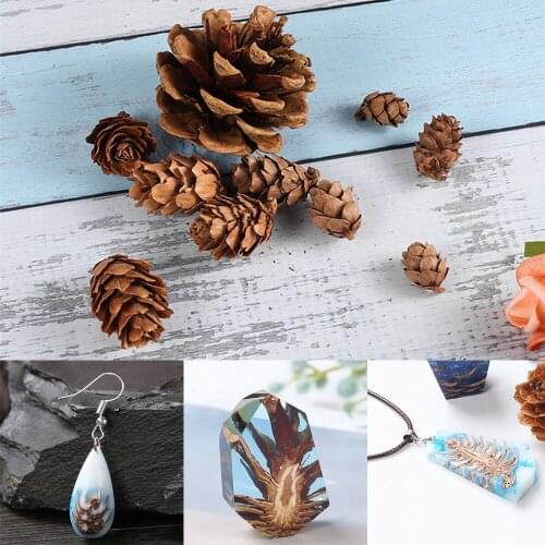 3 Sizes Resin Fillings Real Natural Pine Cones Bauble for DIY Craft Epoxy Resin Mold Pendant Necklace Jewelry Making Accessories