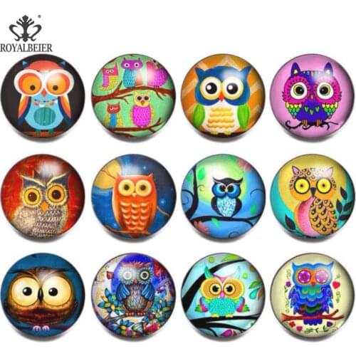 ROYALBEIER 12pcs/lot Mixed Owl Exotic 18mm Glass Snap Button Jewelry Faceted Glass Snap Fit Snap Bracelet Snaps Jewelry kg0074