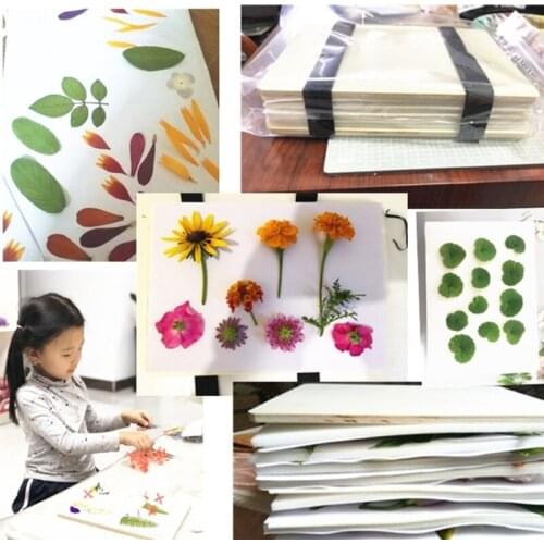 Professional Flower Press Kit 6 x 6 inch 6 Layers Small Leaf Plant Press Set Q0KE