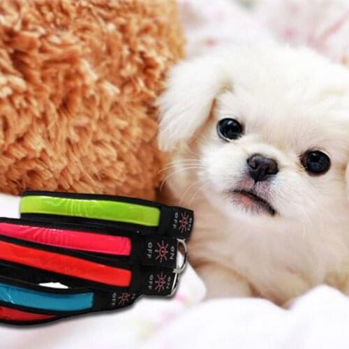 Pet USB Charging LED Anti-lost Luminous Collar 42-61cm For Dogs Puppies Dog Collars Leads LED Supplies Pet Products