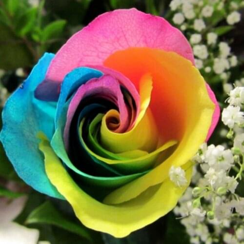 Diamond Paint 5D Beautiful Colorful Rose Flowers Diamond Painting Full Square Picture Diamond Embroidery DIY Diamond Mosaic
