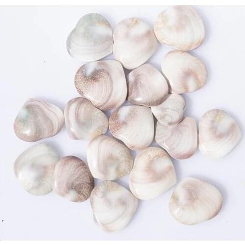 MOKAGY White Conch Slice Stone Polished Natural Crystal Heart 30MM for Sale