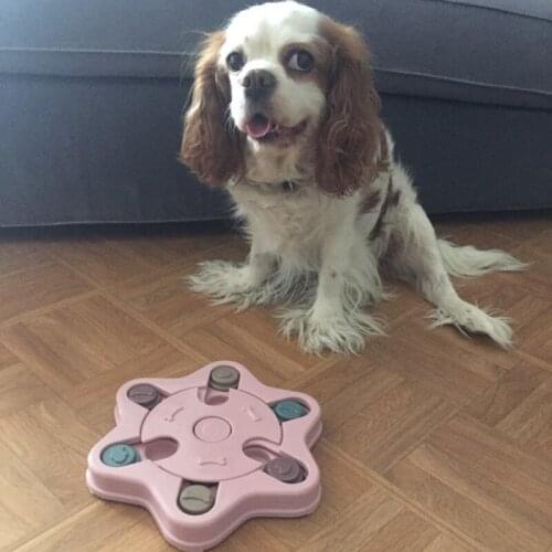 Small Medium-sized Dog Puppies Educational Toys Improve IQ Interactive Slow Dispensing Feeding Pet Game Supplies Random Colors