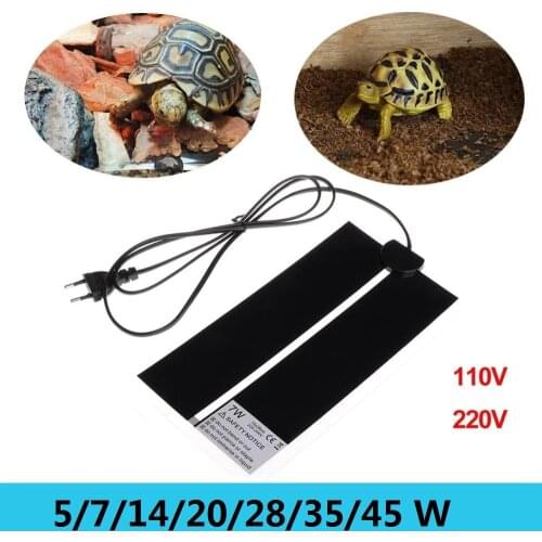 MINCO HEAT Reptile Lamps And Thermometers