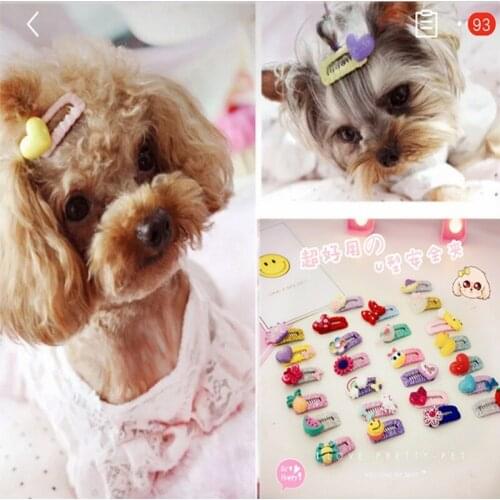Korean Dog Hairpin Teddy Bear BB Broken Hair Clip Malzis Yorkshire Headflower Pet Jewelry Cheap Puppy Cat Grooming Accessories