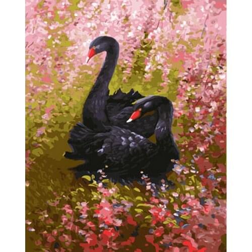 Frameless picture oil painting by numbers wall decor diy painting on canvas for home decor 4050 black swan