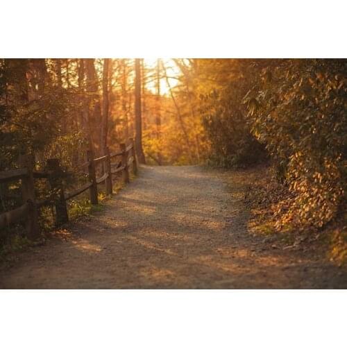 Autumn Forest tree fence road sunset photography backgrounds High quality Computer print children kids backdrops