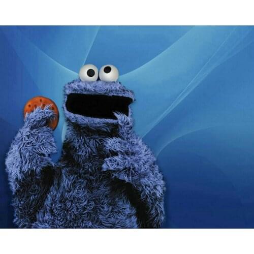 Sesame Street Cookie Monster photography backgrounds High quality Computer print party backdrops