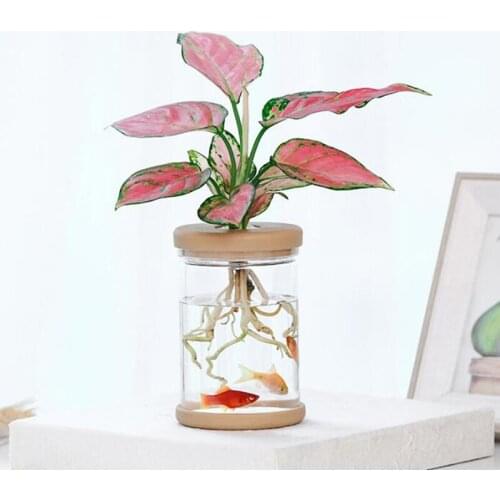 1PC Imitation glass Plant Pot Small Green Plant Vases Flowerpot plastic Hydroponics Plants Vases Supplies