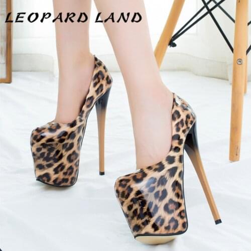 Leopard land Womens Clothing