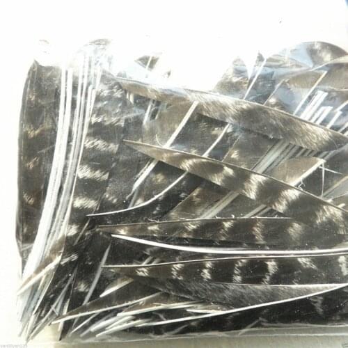 Archery Drop Feathers 5" Hunting Wood Carbon Arrows Eaglecrest Streamline Fletching Turkey Feather