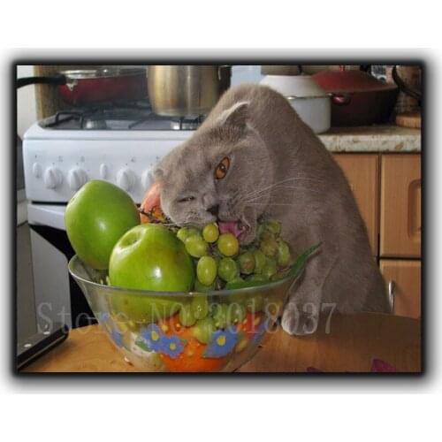 5D Diamond Mosaic Diy Diamond Embroidery Cat To Eat Fruit Full Diamond Painting Cross Stitch Rhinestone Home Decoration Stickers