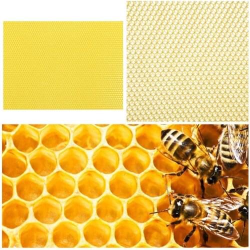 10Pcs/set Natural Honeycomb Bee Wax Foundation Sheets Wax Beekeeping Paper Nest Candlemaking Tool Honeybee Flake Base S2N6
