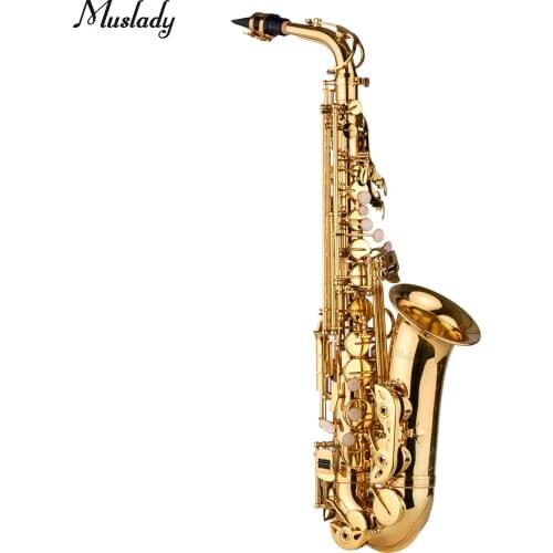 AS100 AS200 Eb Alto Saxophone Brass Lacquered Alto Sax Wind Instrument with Carry Case Gloves Straps Cleaning Cloth Brush