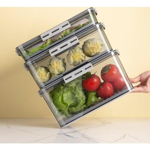 Newly Refrigerator Storage Box Transparent Food Grade PET Plastic Chronograph Frozing Storage Box